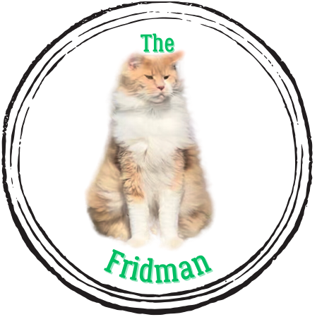 The Fridman